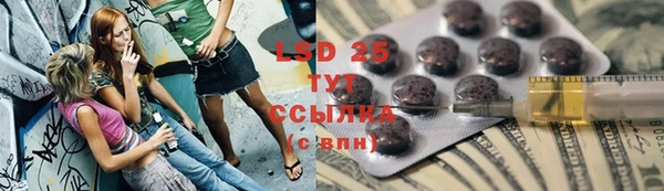 молекула духа Краснослободск
