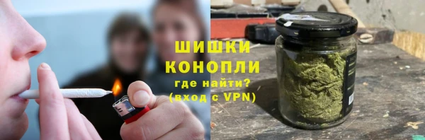 молекула духа Краснослободск