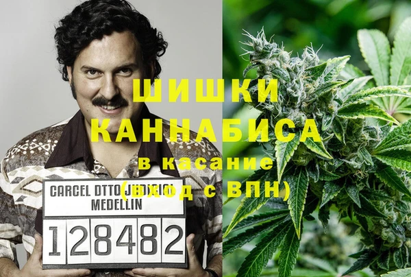 молекула духа Краснослободск