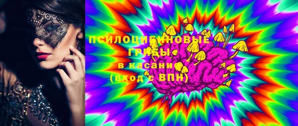 стаф Корсаков