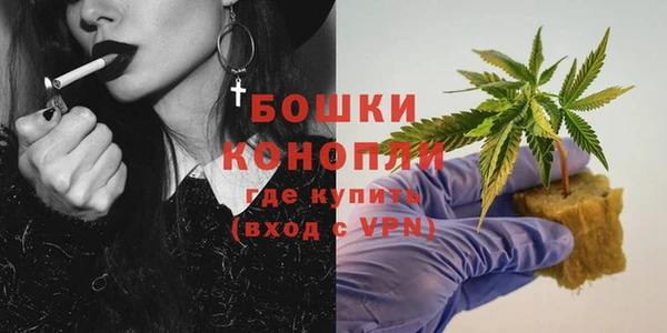 молекула духа Краснослободск