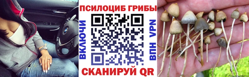 нарко площадка какой сайт  Дюртюли  Галлюциногенные грибы мухоморы  где купить  