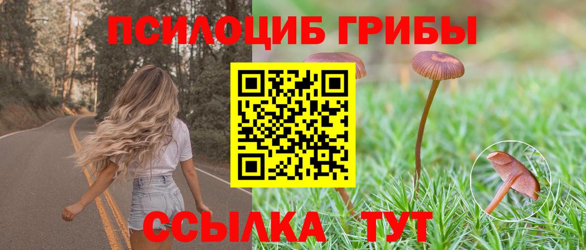 Галлюциногенные грибы GOLDEN TEACHER Дюртюли